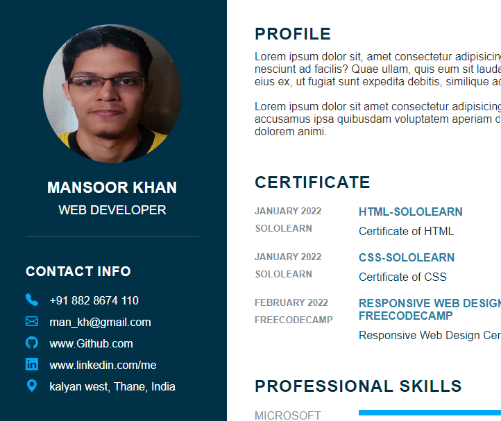 responsive cv